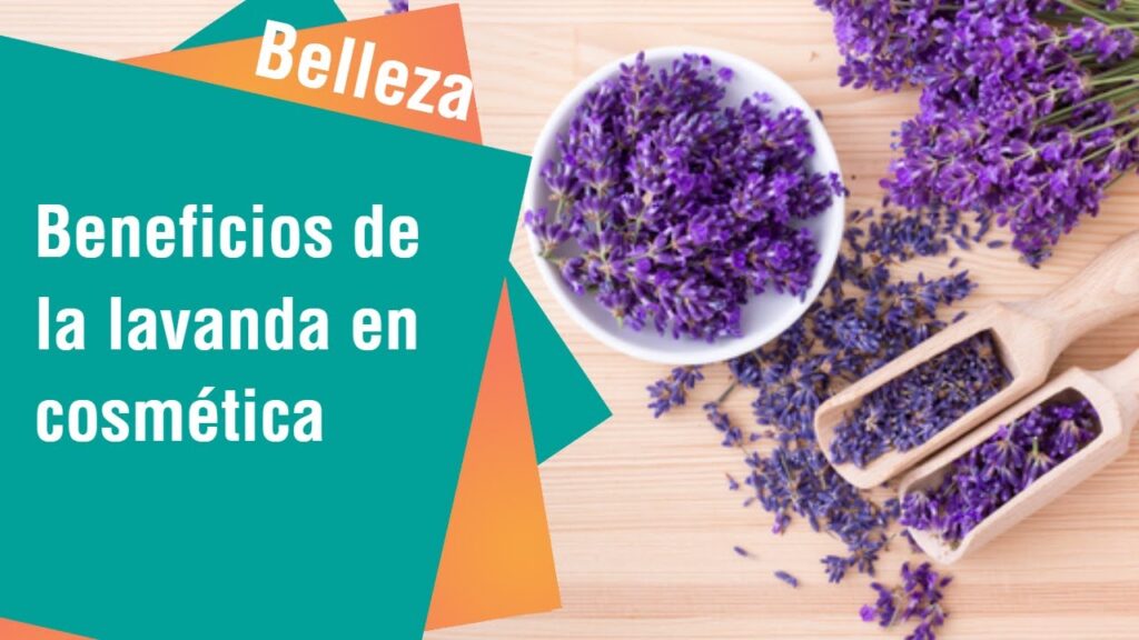 Beneficios y propiedades del jabón de lavanda hecho a mano