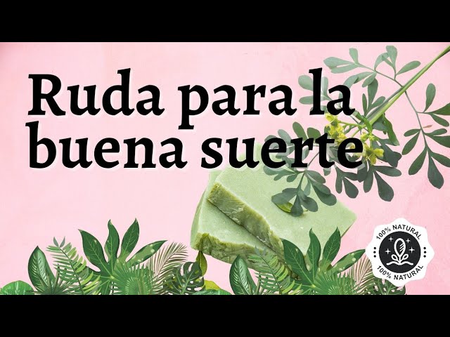 Beneficios Del Jabón De Ruda Para La Piel Y Cómo Hacerlo En Casa 5711